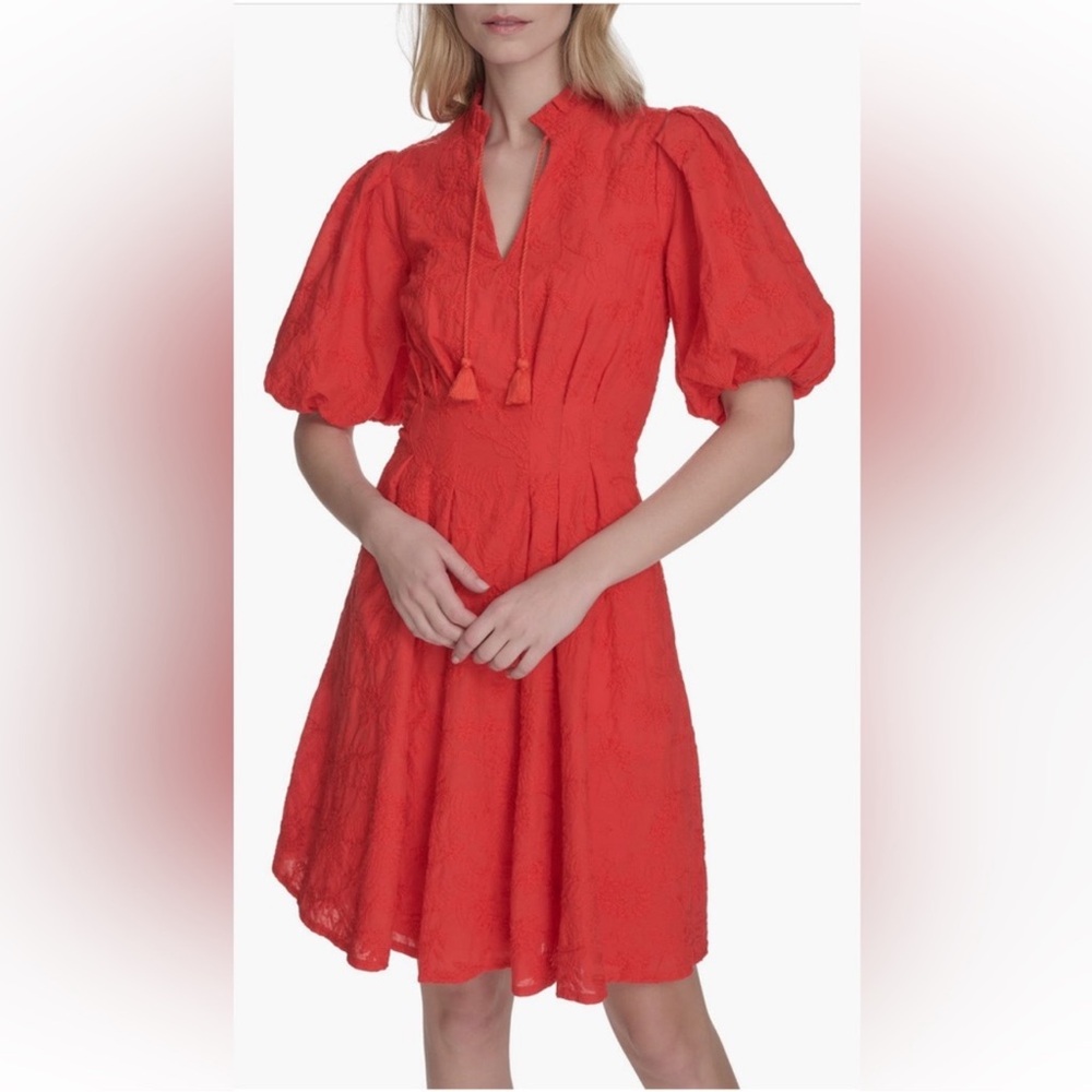 NWT Eliza J Floral Embroidered Puff Sleeve Cotton Fit & Flare Dress Sz 14 - Picture 3 of 12